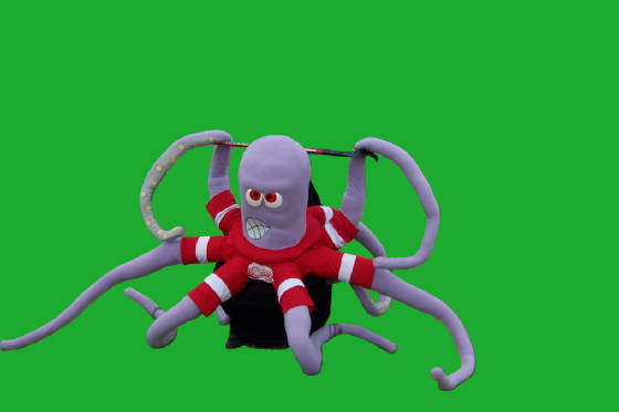 octopus----7778.jpg